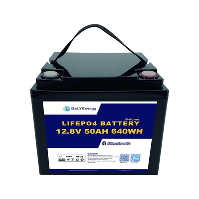 kaufen Einfach mitzunehmen für Fischerboote 12V 50AH LiFePo4 Batterie mit Smart BMS online manufacture