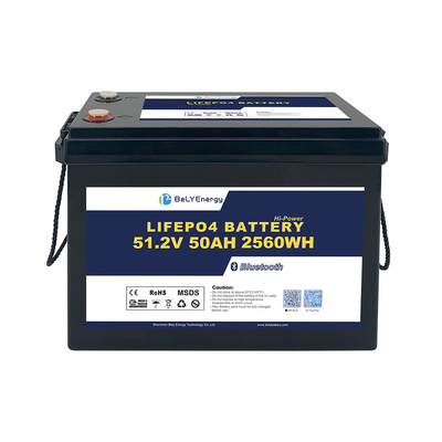 Bely Energy sicher und zuverlässig 48v 50ah Lifepo4 Batterie für Elektrofahrzeuge