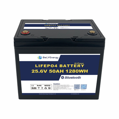 OEM ODM ABS Anti-UV Marine Boot Batterie 24V 50AH LiFePO4 Lithium Batterie mit BT